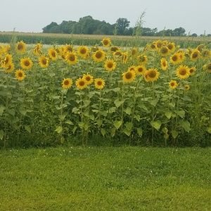 Meet your Posher, Jon